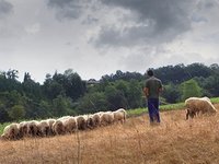 Νέος χάρτης μειονεκτικών περιοχών άλλοι δικαιούχοι εξισωτικής το 2019