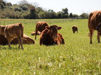 Παράταση ημερομηνιών για την υποβολή σχεδίων βελτίωσης